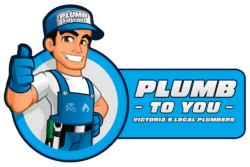 PLUMB TO YOU